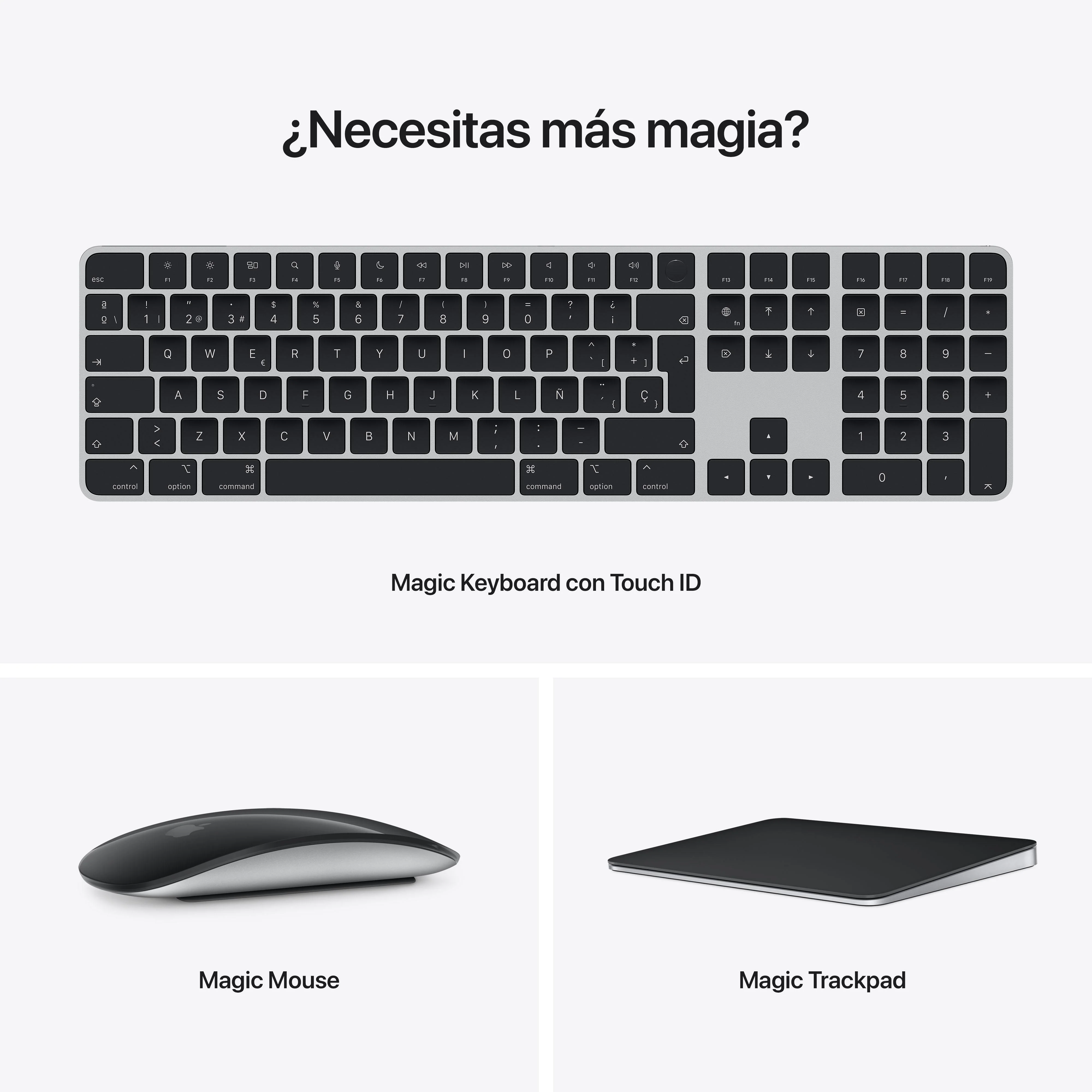 Miniatura 10