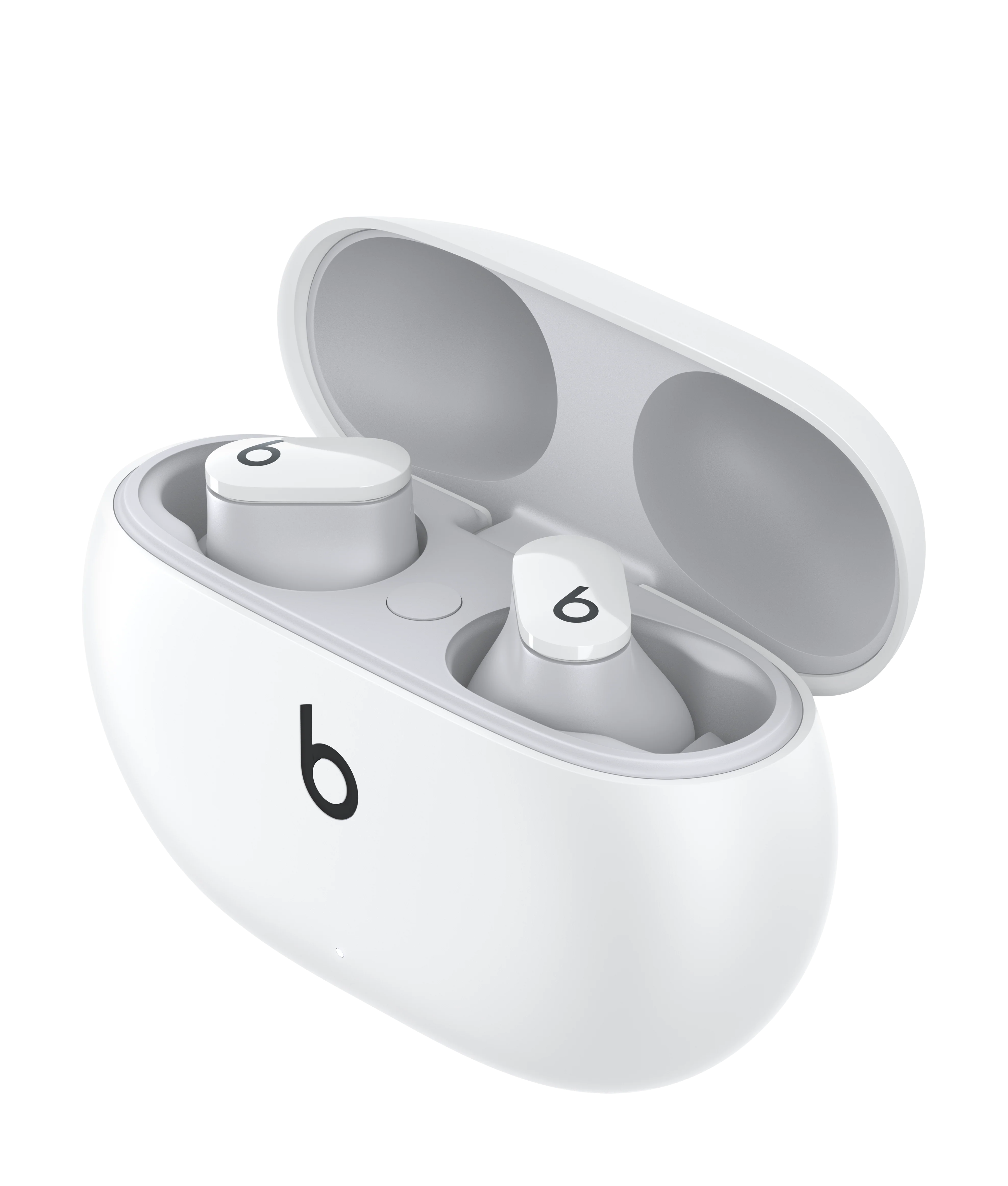Miniatura 12