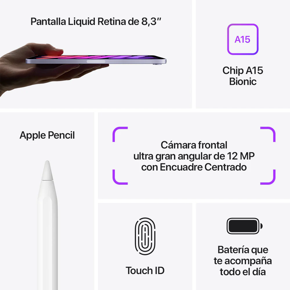 Miniatura 8